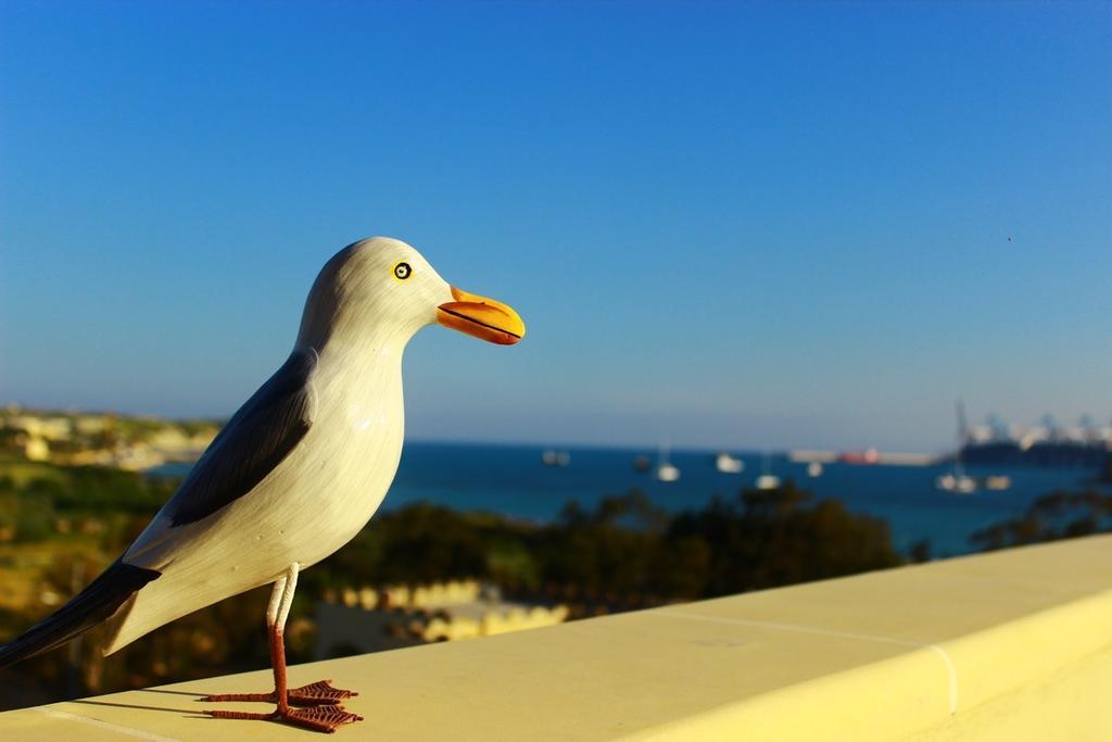 Apartamento Seagull Penthouse Marsaxlokk Exterior foto